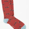 FatFace 1 Pack Dachshund Socks Dark Orange Clearance