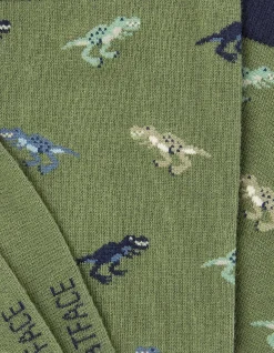 FatFace 1 Pack Dinosaur Socks Green