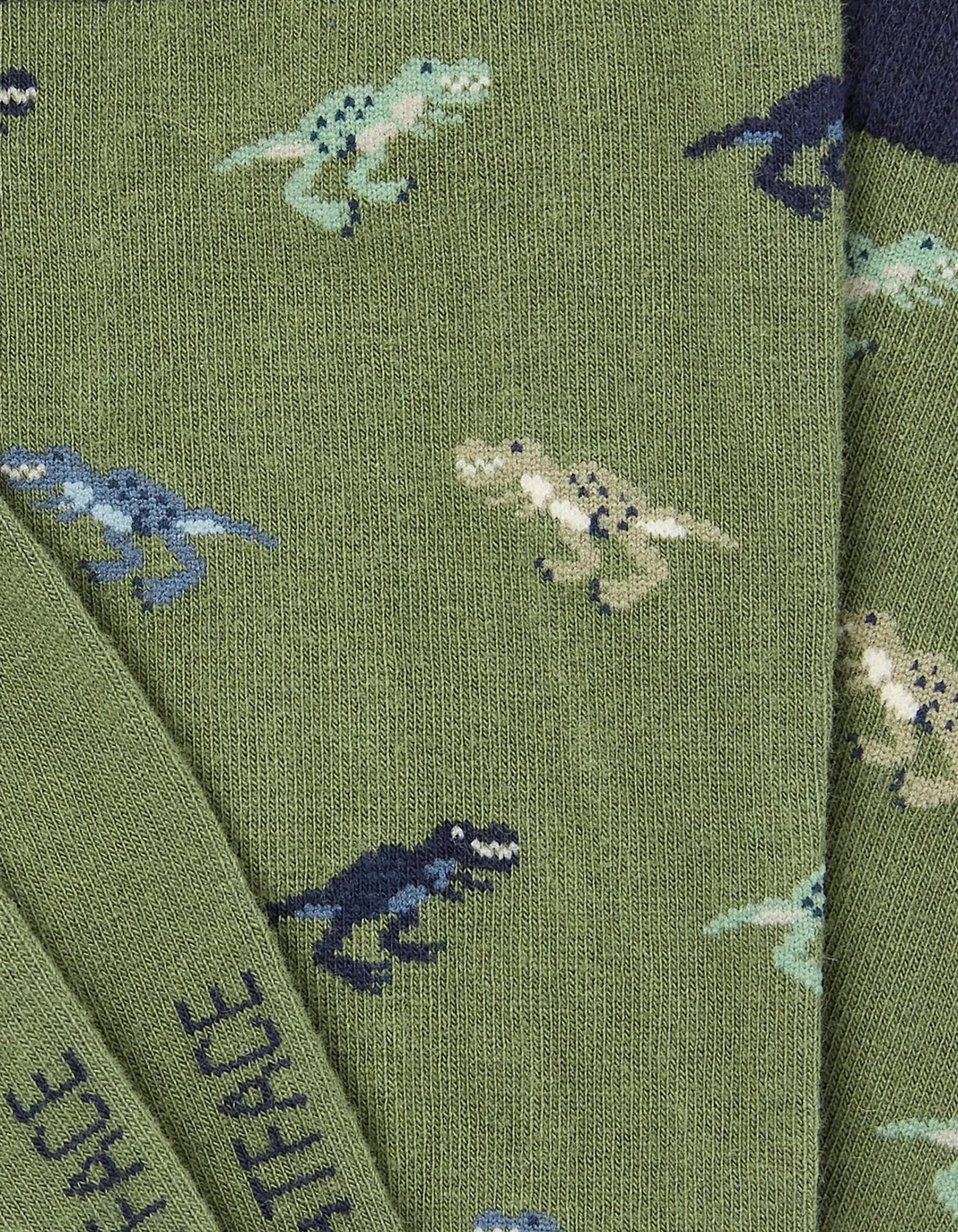 FatFace 1 Pack Dinosaur Socks Green