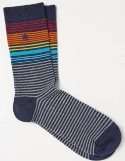 FatFace 1 Pack Pop Stripe Socks Navy Best