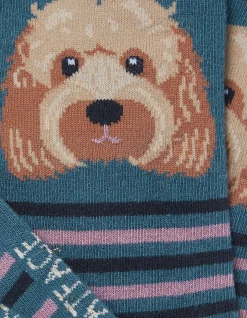 FatFace 1 Pack Striped Dog Socks Teal Green Clearance