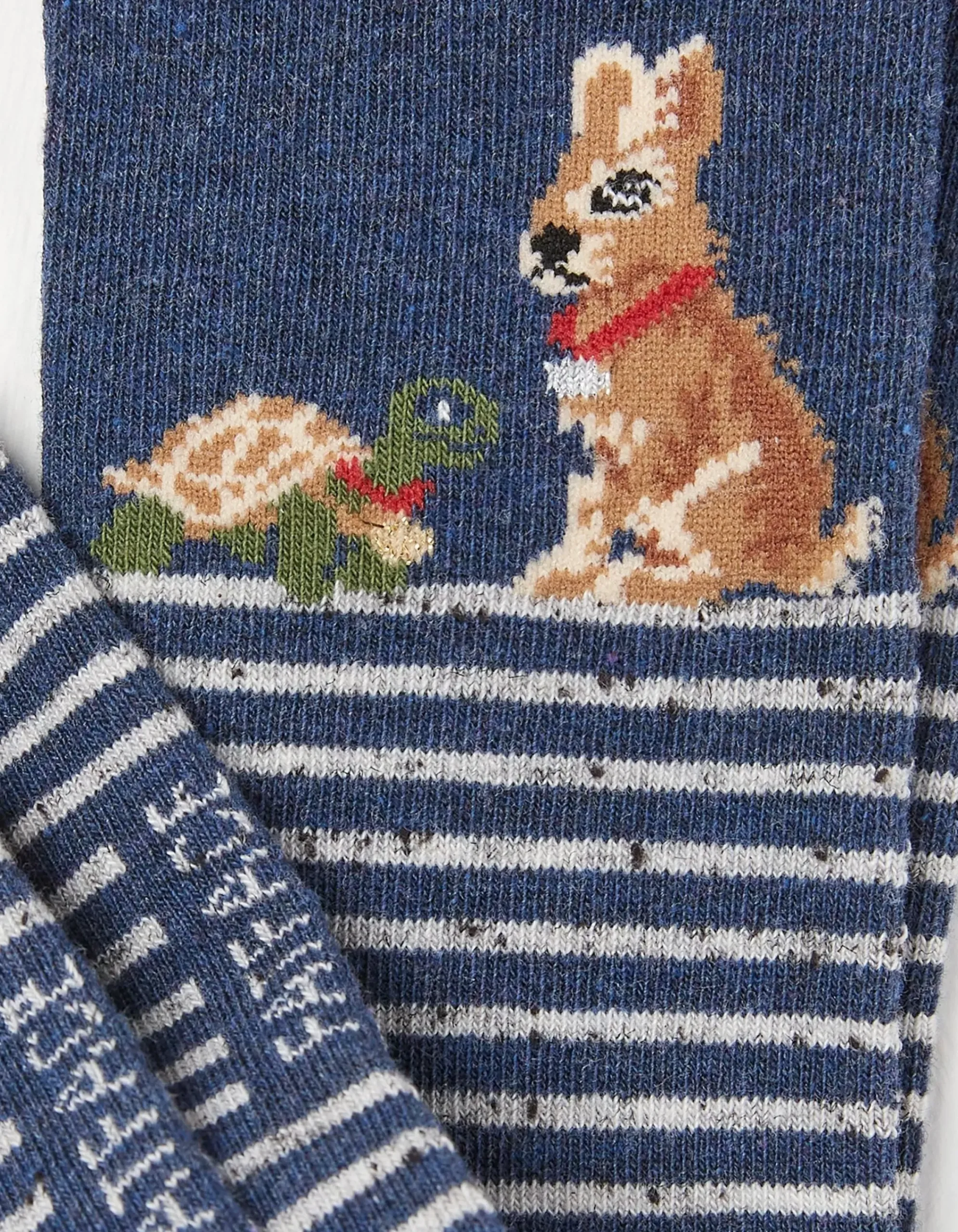 FatFace 1 Pack Tortoise And Hare Socks Navy New
