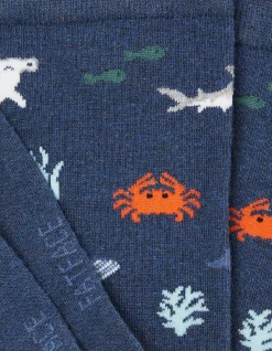 FatFace 1 Pack Under The Sea Socks Navy Marl Best