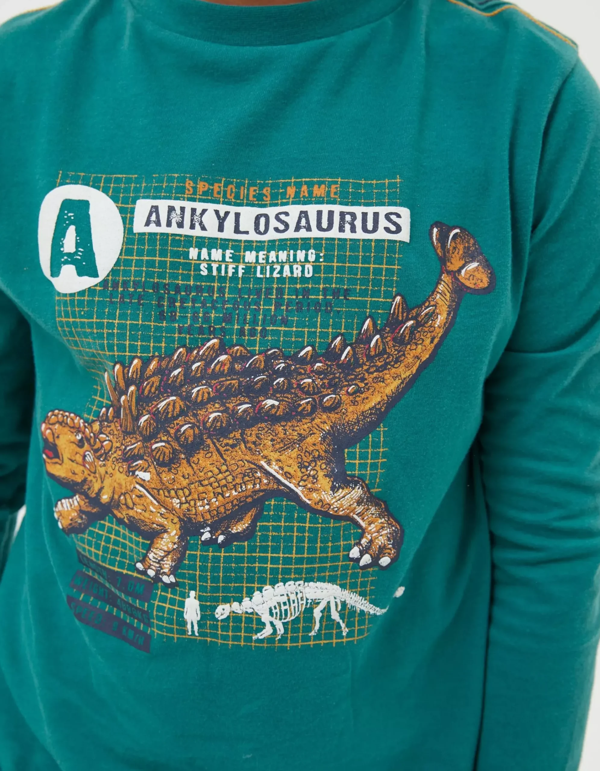 FatFace Ankylosaurus Graphic T Shirt Green Best