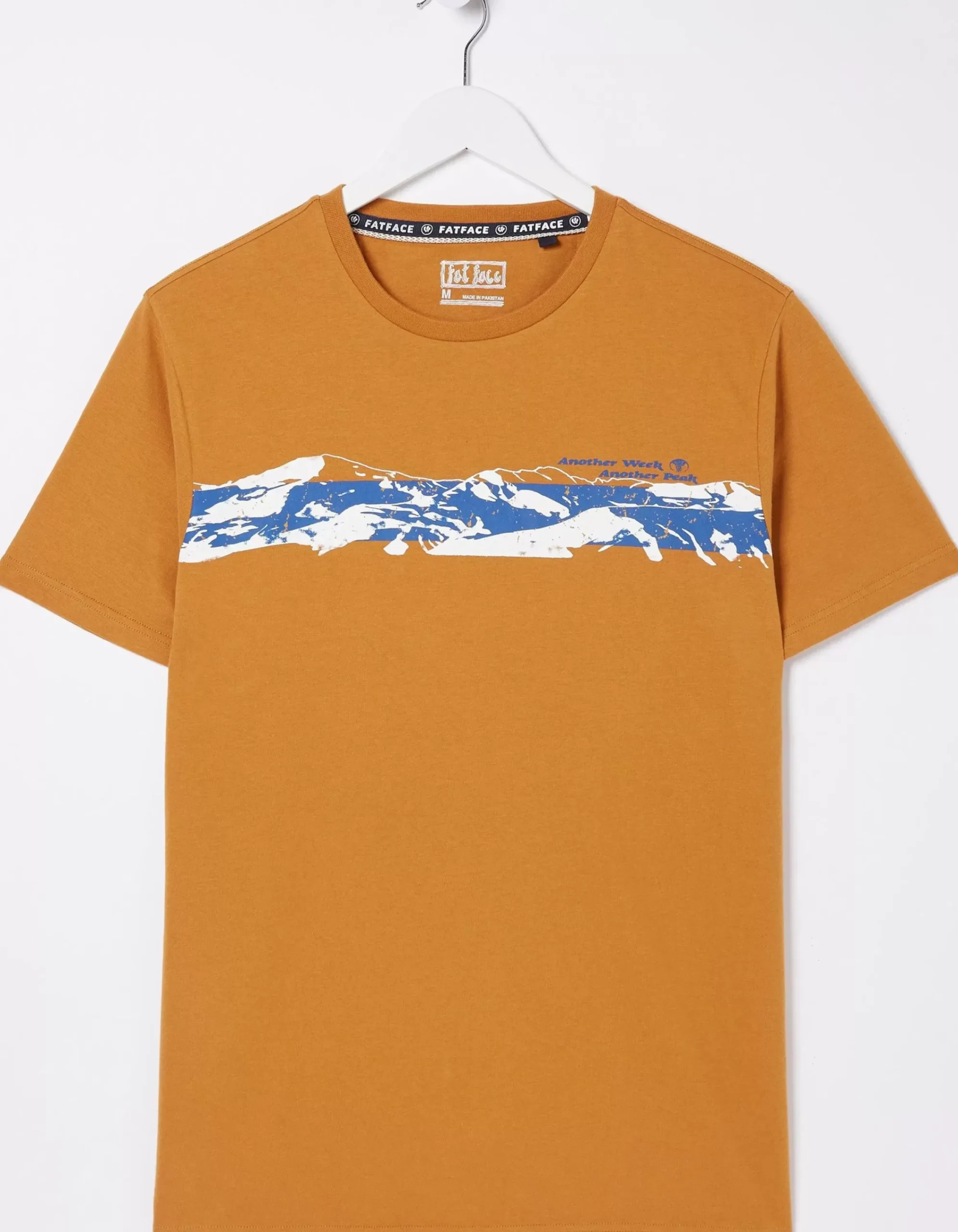 FatFace Another Week T-Shirt Golden Yellow