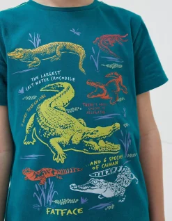 FatFace Crocodile Info Jersey T Shirt Teal Green Sale