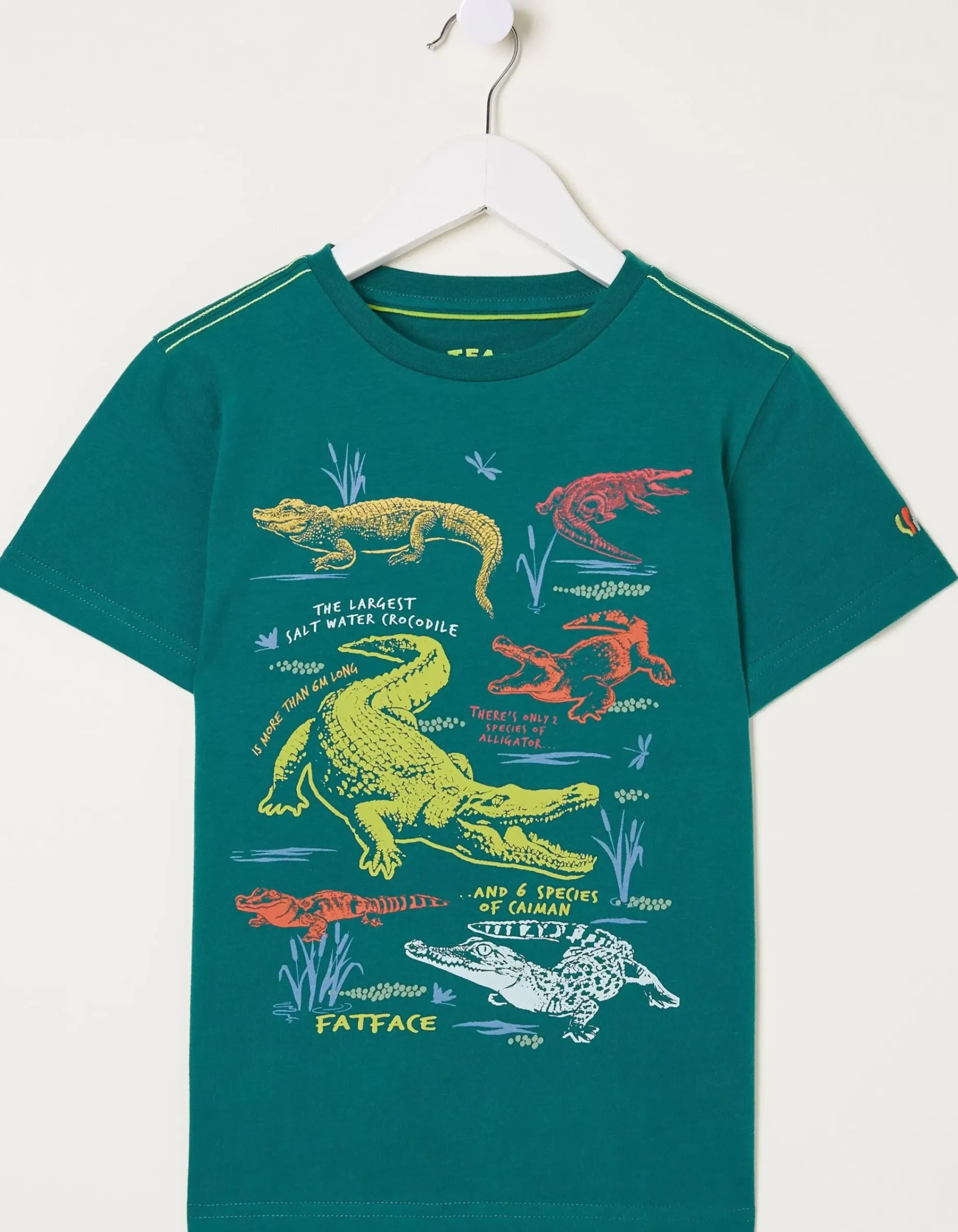 FatFace Crocodile Info Jersey T Shirt Teal Green Sale