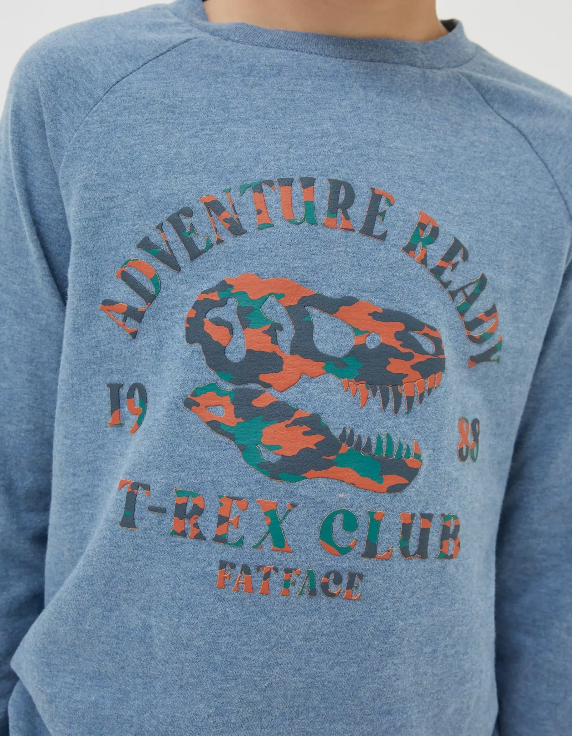 FatFace Dinosaur Graphic T-Shirt Blue Marl Clearance