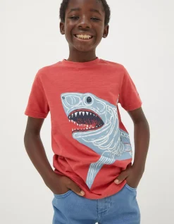 FatFace Glow-In-The-Dark Shark T-Shirt Washed Red New