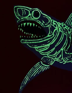 FatFace Glow-In-The-Dark Shark T-Shirt Washed Red New