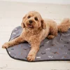 FatFace Marching Dogs Pet Blanket Grey Clearance