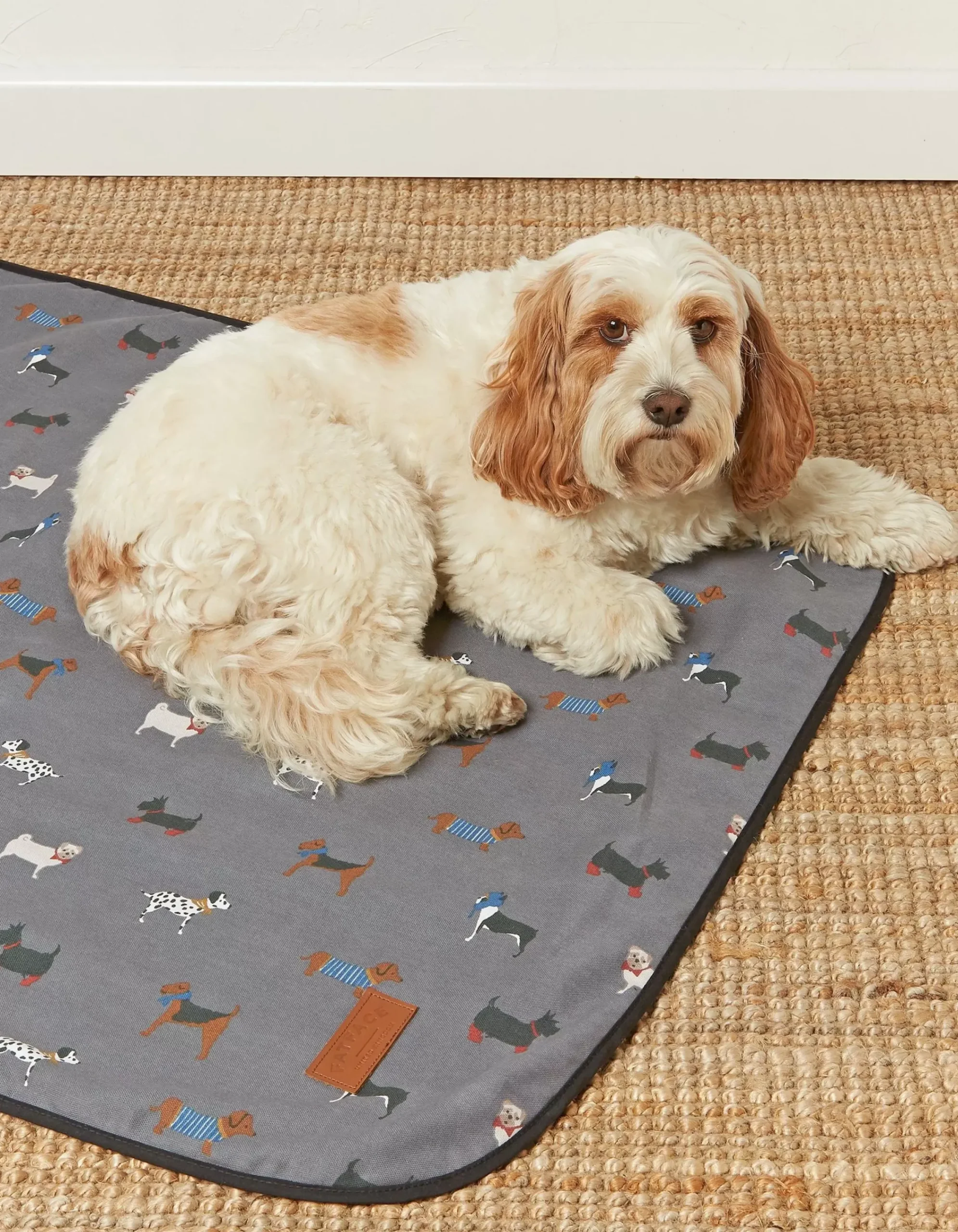 FatFace Marching Dogs Pet Blanket Grey Clearance