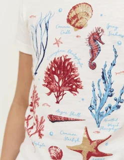 FatFace Marine Conservation Society Sealife Graphic T-Shirt Ecru Discount