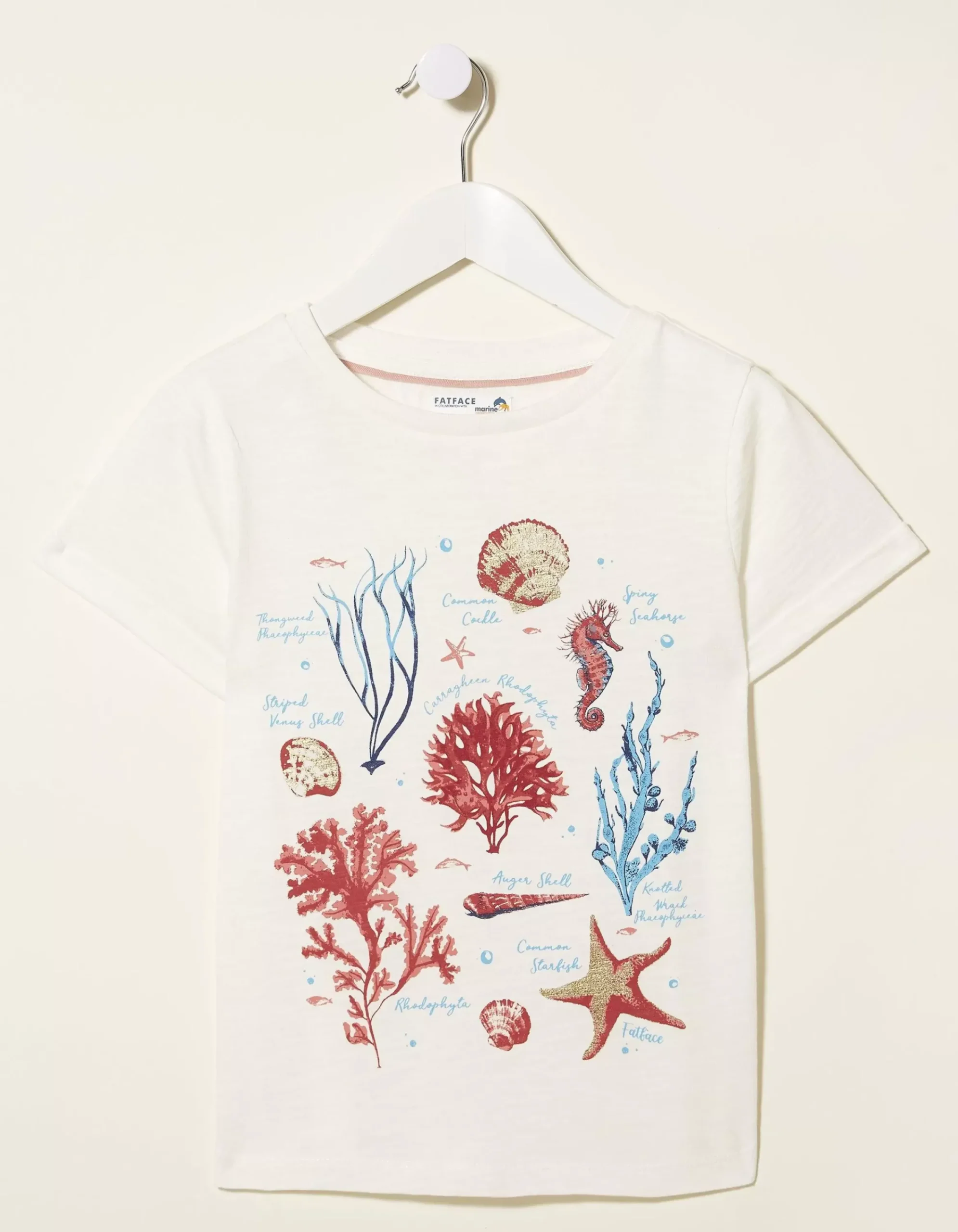FatFace Marine Conservation Society Sealife Graphic T-Shirt Ecru Discount