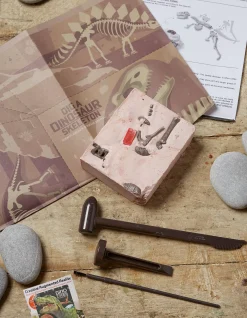 FatFace T Rex Excavation Kit Multi