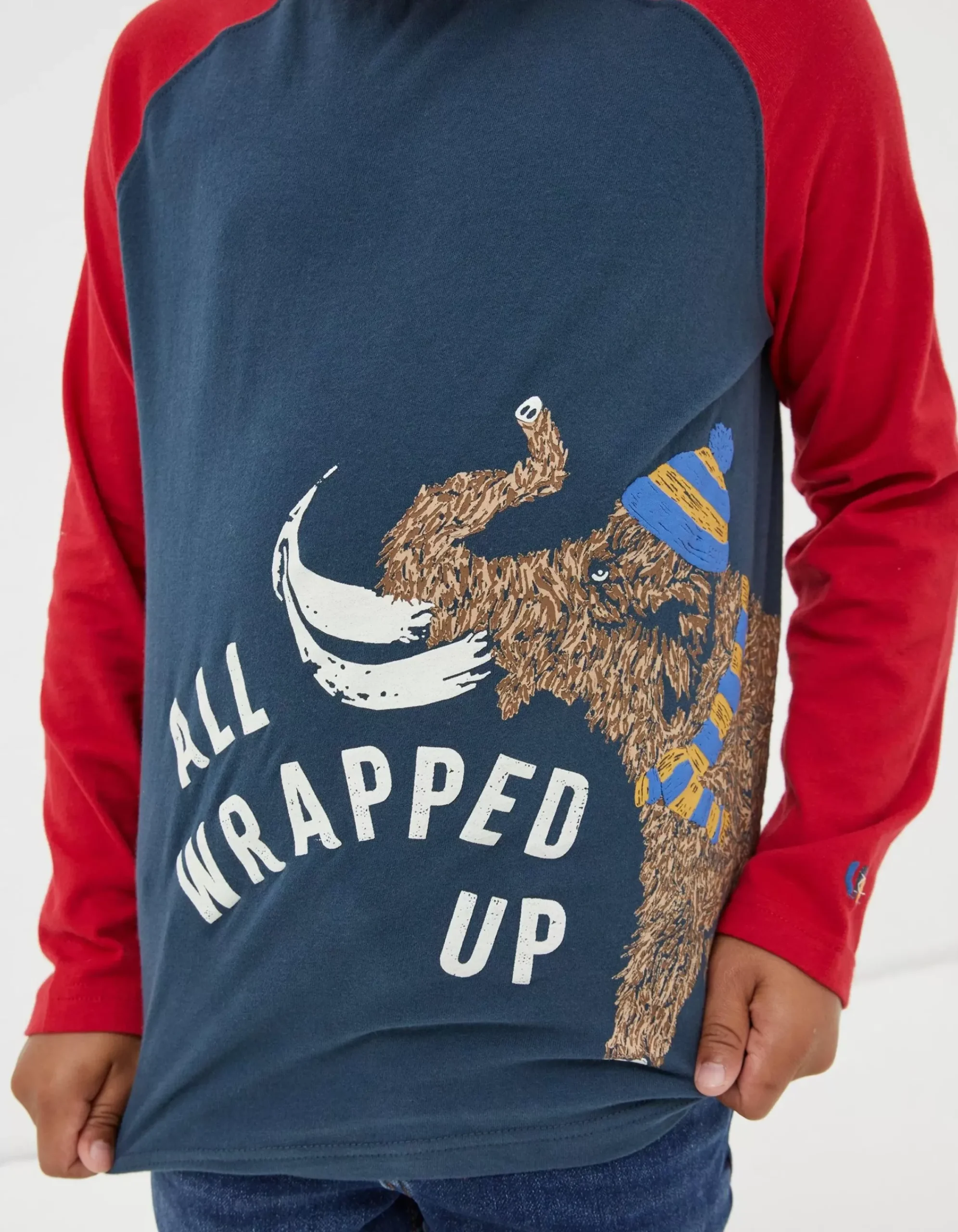 FatFace Wilfred Woolly Mammoth Graphic Tee Navy Hot